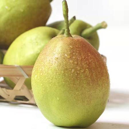 陜西紅香酥梨 源于庫(kù)爾勒香梨的新鮮之選，郵樂(lè)官網(wǎng)批發(fā)正當(dāng)時(shí)